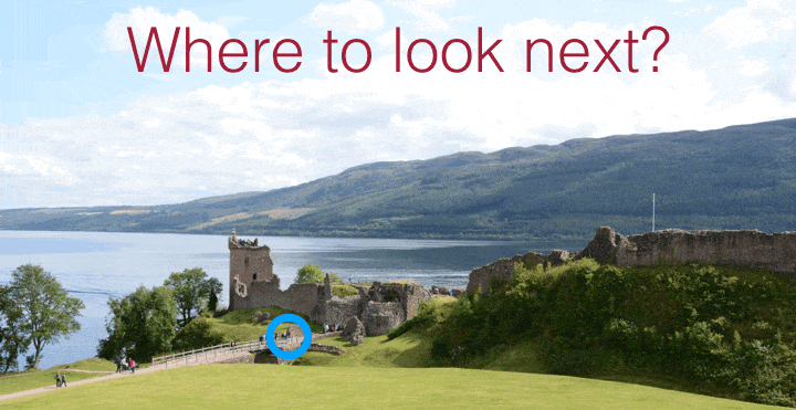 ezgif-1-2baf075a33b4